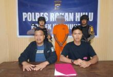 Takut Di Penjara, Pencurian Buah Sawit Menyerahkan Diri Ke Polisi