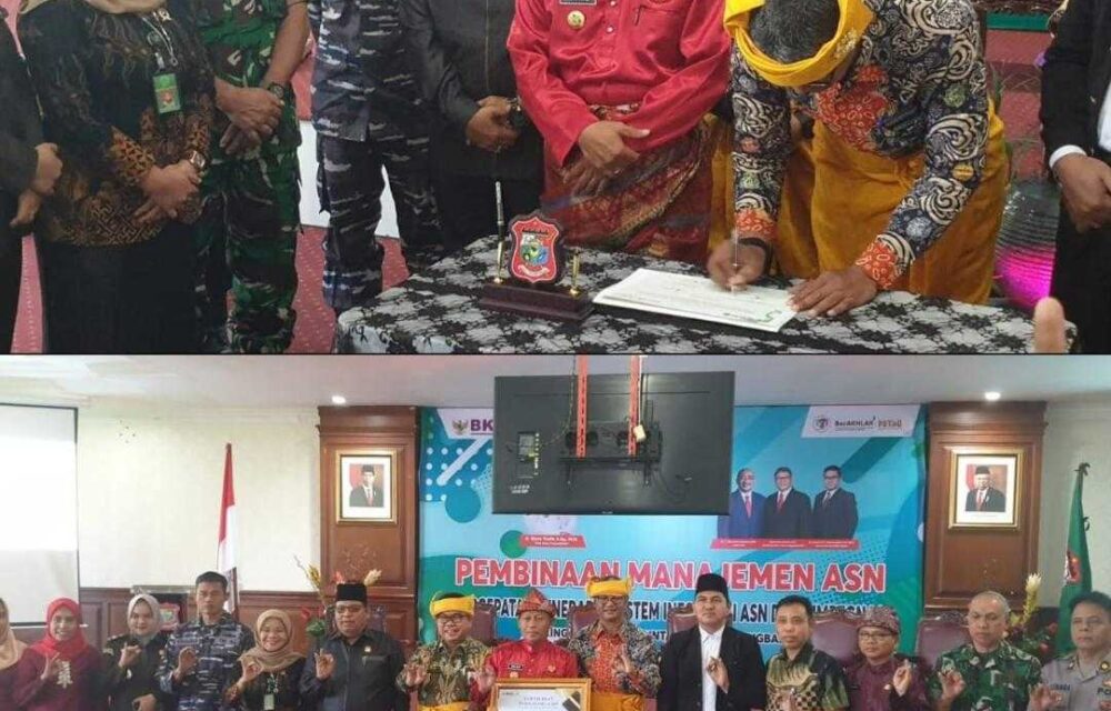 Bimtek P2Si Asn Tanjung Balai, Begini Pentingnya