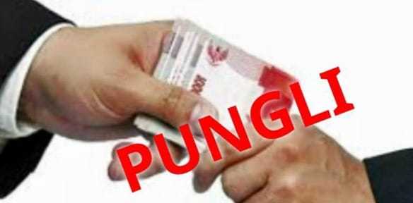 Anggota Dprd Lebak Sebut Oknum Kades Di Malingping Diduga Lakukan Pungli Rp. 690 Jt
