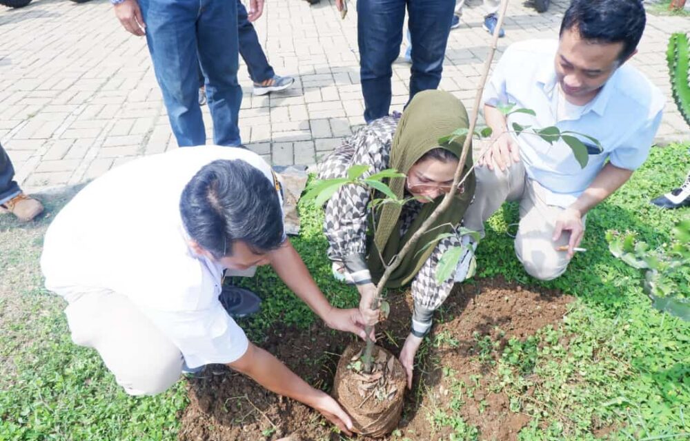 Artis Camellia Pandu Winata Kunjungi Giat Penanaman Pohon