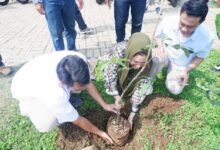 Artis Camellia Pandu Winata Kunjungi Giat Penanaman Pohon