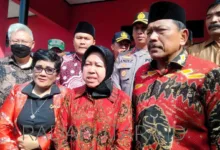 Cie cie … Risma Akan Bantu Pemulihan Trauma Korban Cabul Bengkulu