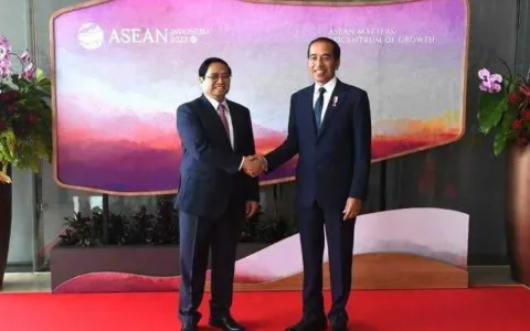 Asik Bener. Presiden Jokowi dan PM Vietnam Pegangan Tangan