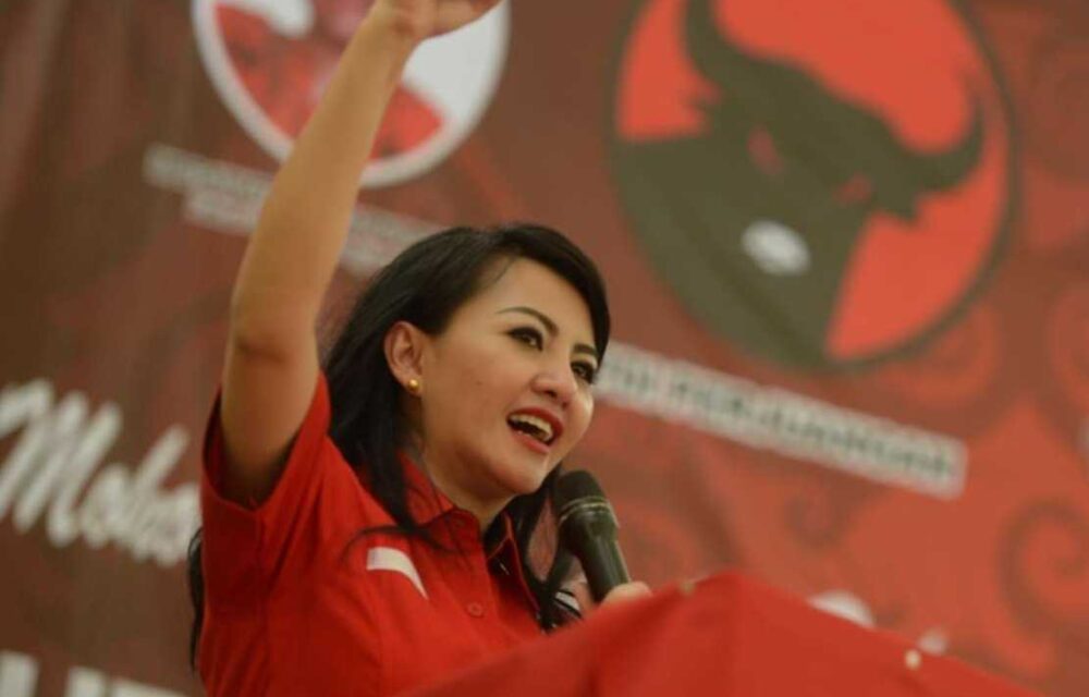 Politisi Cantik Minta Panglima Tni Tindak Pelaku Penusuk Warga Landak