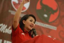Politisi Cantik Minta Panglima Tni Tindak Pelaku Penusuk Warga Landak