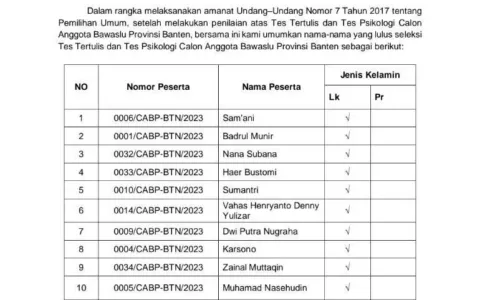 Timsel Umumkan 16 Besar Calon Anggota Bawaslu Banten