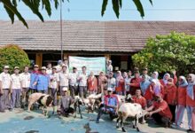 Mantap, Csr Pt Ins Bagikan Hewan Kurban Ke Sekolah Sekolah