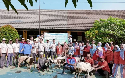 Mantap, CSR PT INS Bagikan Hewan Kurban ke Sekolah Sekolah