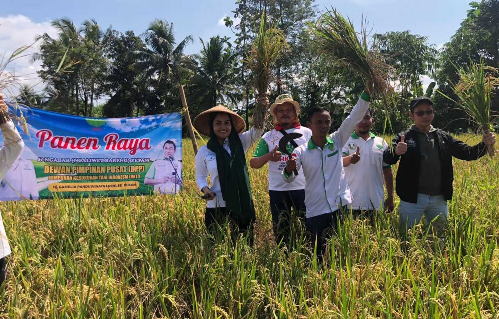 Teh Camel Hadiri Panen Raya Bersama Hkti Cianjur
