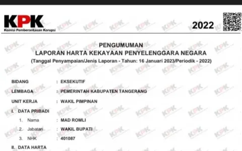 Fantastis, Harta Wakil Bupati Tangerang Melonjak Capai 108 Miliar