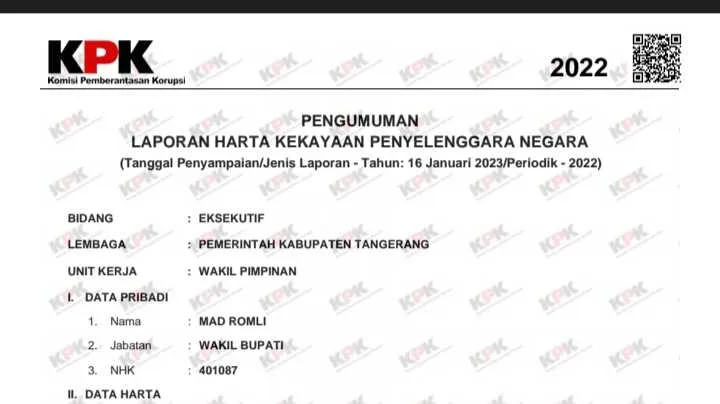 Fantastis, Harta Wakil Bupati Tangerang Melonjak Capai 108 Miliar