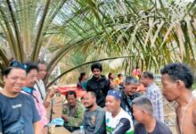 Aktivis Buruh Apresiasi Kajari Kaur Ungkap Dugan Korupsi Kesehatan