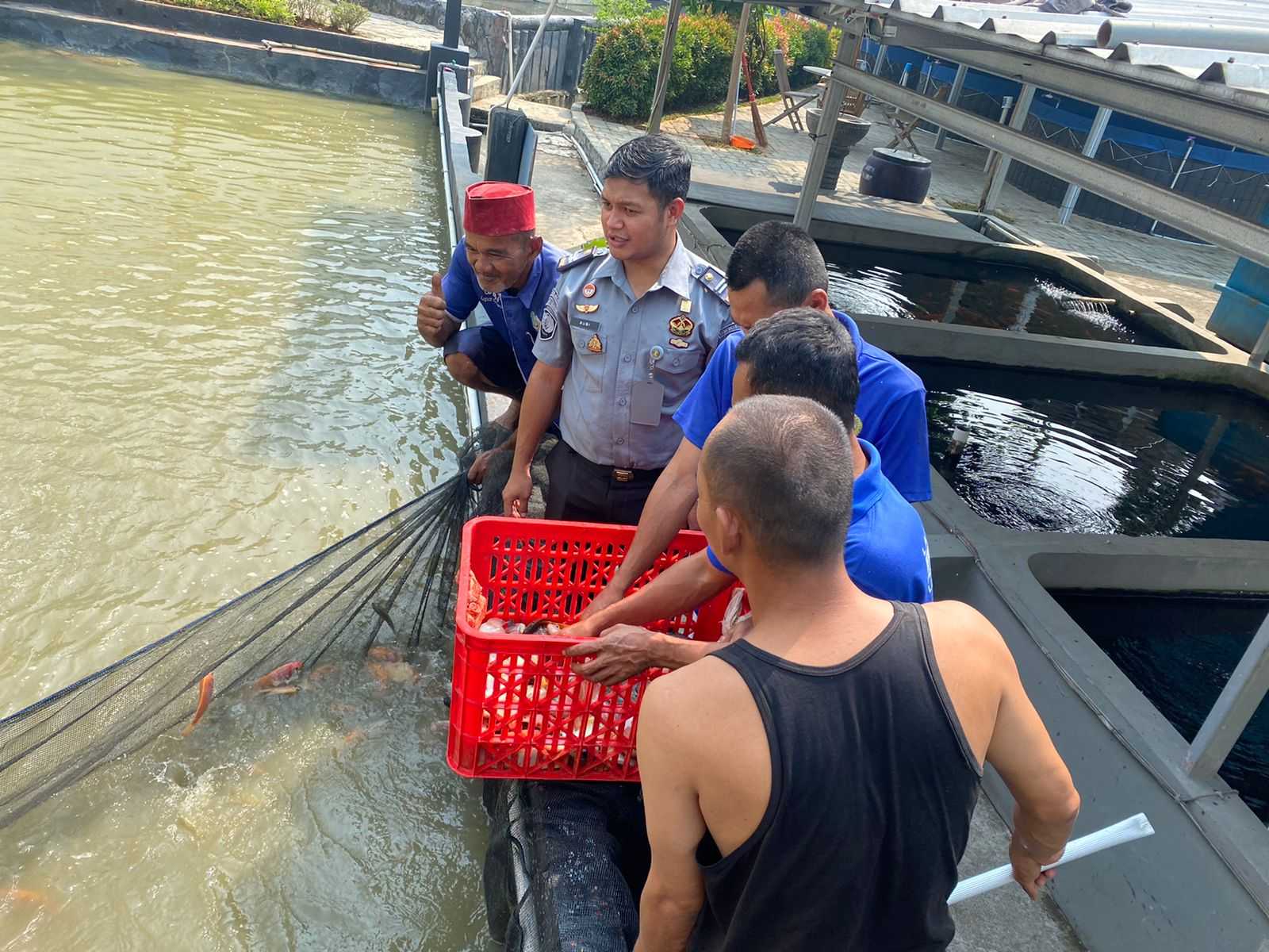 Istimewa, Lapas Kelas Iia Cikarang Berhasil Panen Ikan Nila Budidaya Narapidana