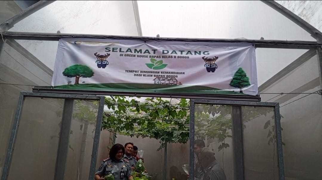 Klien Pemasyarakatan Bapas Bogor Sukses Panen Dan Kembangkan Budidaya Hidroponik