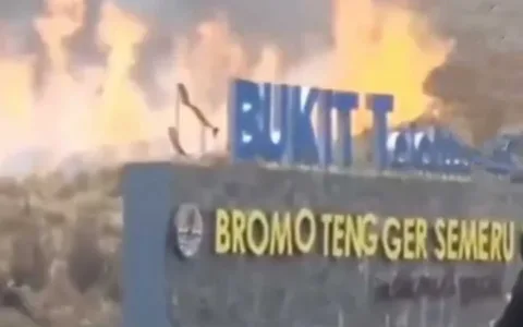 Nyalakan Flare Saat Preweding, Dua Sejoli Sebabkan Bukit Teletubbies Kebakaran