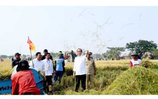 Panen Raya Di Subang, Presiden: Diharapkan Tambah Cadangan Beras Kita