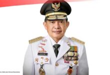 Harga Beras Melonjak Naik, Masyarakat Disarankan Makan Ubi, Mau Tau Selengkapnya
