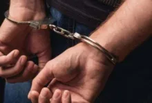 Sikat, 28 Wna Nigeria Ditangkap Tim Pengawasan Orang Asing Di Pik