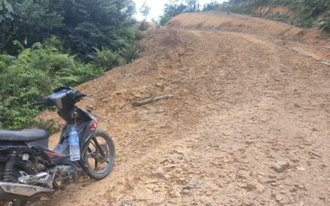 Warga Desak Pemkab Barito Utara Segera Perbaiki Jalan Rusak yang Bergelombang