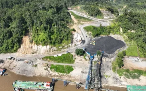 Temuan Dinas LH Kalteng: Limbah Cair PT Pada Idi Dibuang ke Sungai Barito dan Langgar Perizinan