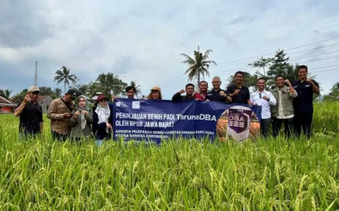 Doa Bangsa Launching Benih Padi DBA Unggul