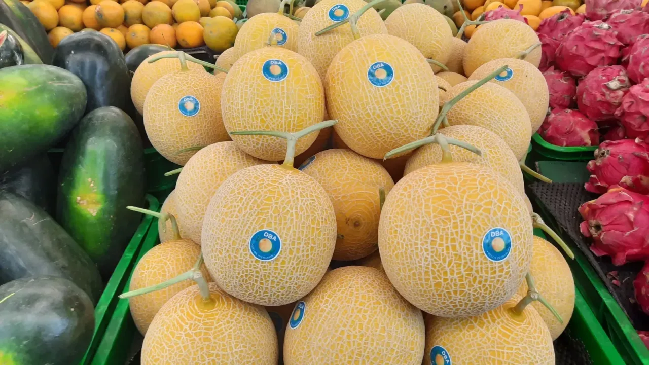 Melon Premium Milik Doa Bangsa Agrobisnis Mengembangkan Pasar Supermarket Cek Selengkapnya