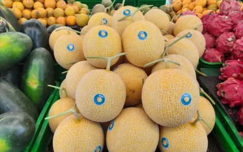 Melon Premium Milik Doa Bangsa Agrobisnis Mengembangkan Pasar Supermarket Cek Selengkapnya