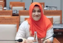 Anggota Dpr Ri Meitri Dorong Penyusunan Peta Jalan Transisi Energi Yang Komprehensif
