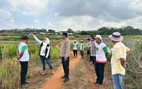Komunitas KITA Sulap 25 Hektare Lahan Tidur Untuk Solusi Ketahaan Pangan