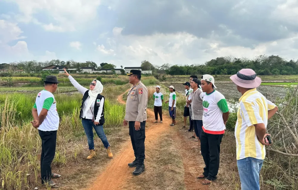 Komunitas Kita Sulap 25 Hektare Lahan Tidur Untuk Solusi Ketahaan Pangan