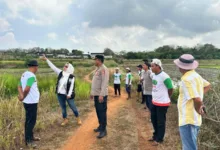 Komunitas Kita Sulap 25 Hektare Lahan Tidur Untuk Solusi Ketahaan Pangan