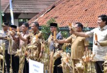 Mendes Pdt: Kolaborasi Mempercepat Kemajuan Pembangunan Desa