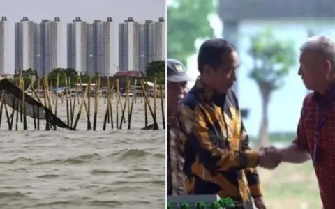 Bongkar: Pemerintah Tak Serius Menindak Tegas Aktor Pemagaran Laut
