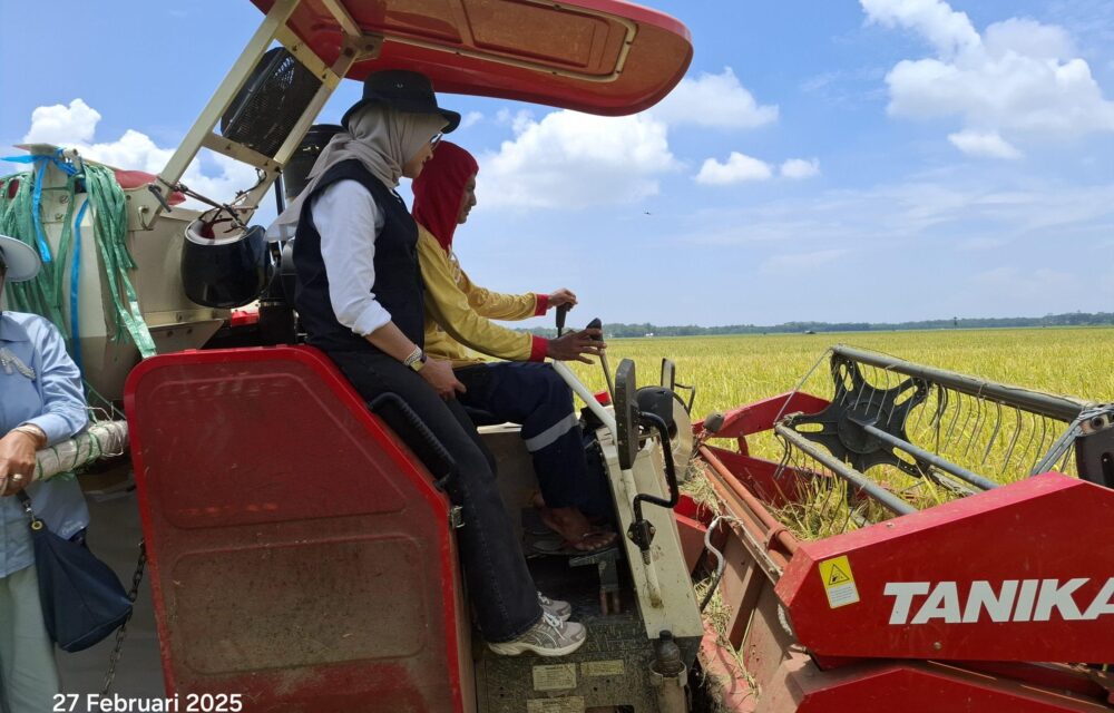 Melaksanakan Program Presiden, Bulog Jemput Gabah Petani Dengan Harga Fantastis