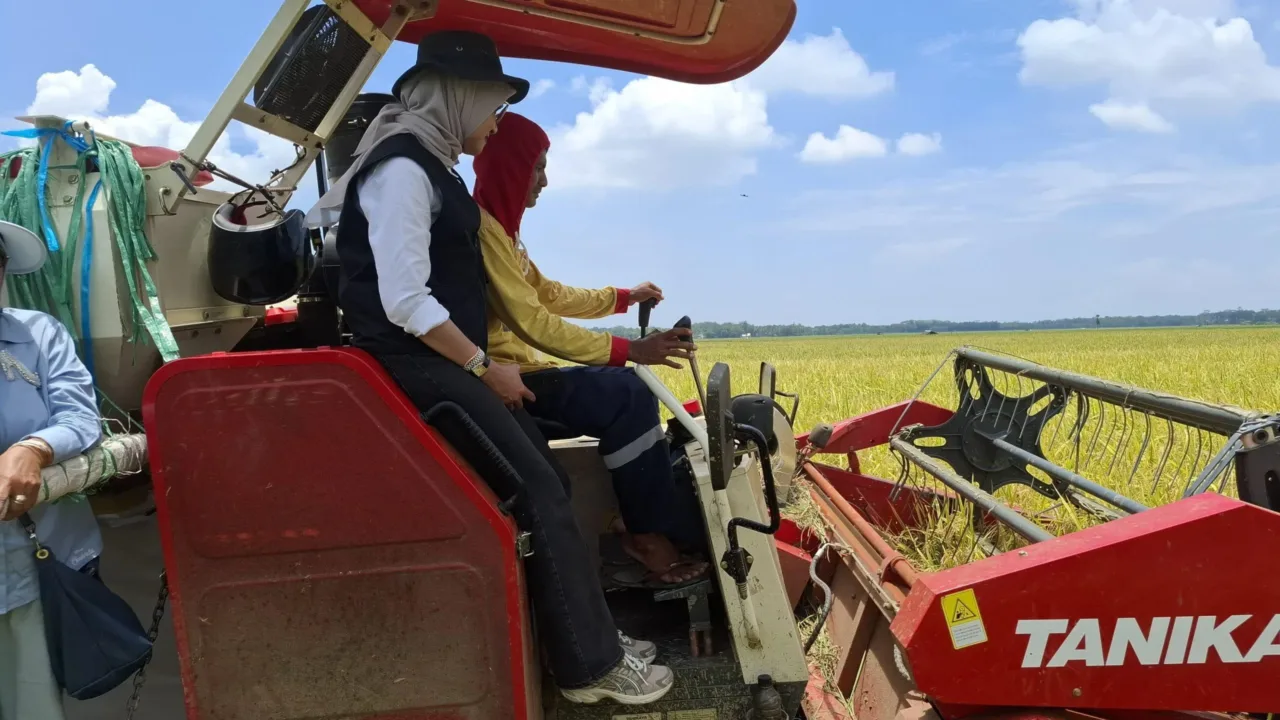 Melaksanakan Program Presiden, Bulog Jemput Gabah Petani dengan Harga Fantastis
