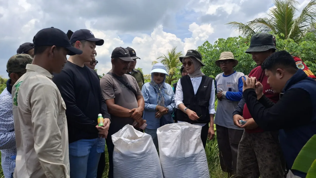 Bulog Jemput Gabah Petani dengan Harga Tinggi