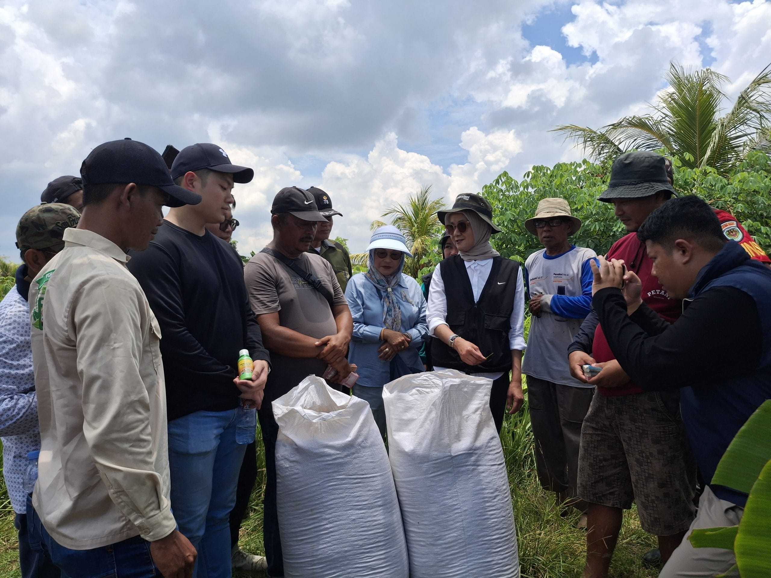Bulog Jemput Gabah Petani Dengan Harga Tinggi