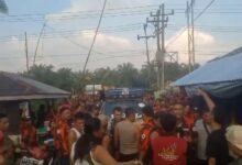 Campur Tangan Ormas, Kebun Sawit Milik Dewi Maya Tanjung Dikuasai Pihak Lain Secara Paksa