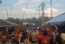 Campur Tangan Ormas, Kebun Sawit Milik Dewi Maya Tanjung Dikuasai Pihak Lain Secara Paksa