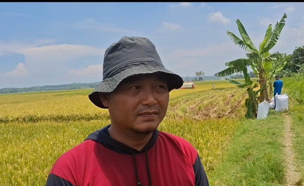 Gabah Dibeli Rp6.500, Petani Lebak Dan Pandeglang Ucapkan Terimakasih Presiden Prabowo