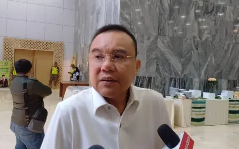 Sufmi Dasco Ahmad, Wakil Ketua DPR 2024-2029.