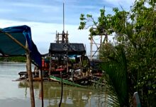 Tambang Llegal , Dugaan Dibekingi Oknum Tni Pangaklpinang Teropongistana.com Jakarta - Aktivitas Tambang Ilegal (Ti) Semakin Meresahkan Warga Di Aliran Sungai Pangkalarang, Kelurahan Ketapang, Kecamatan Pangkalbalam, Kota Pangkalpinang. Enam Unit Ponton Ti Telah Beroperasi Selama Beberapa Pekan Tanpa Tindakan Tegas Dari Pihak Berwenang, Meskipun Warga Telah Melaporkan Keresahan Mereka. Kamis (27/2/2025). Keberadaan Tambang Ilegal Ini Dikhawatirkan Merusak Tanggul Dan Membahayakan Rumah Warga Yang Berada Di Sekitar Lokasi. Seorang Warga Yang Enggan Disebutkan Namanya Mengungkapkan Kekhawatirannya. &Quot;Ya, Bang, Kami Sangat Resah Dengan Adanya Ti Ini. Kami Khawatir Rumah Kami Roboh Akibat Tambang Tersebut. Kami Sudah Melaporkan Hal Ini Ke Pihak Kelurahan Ketapang, Tetapi Hingga Kini Belum Ada Tindakan,&Quot; Ujarnya. Lebih Lanjut, Warga Menyebut Bahwa Tambang Ilegal Ini Diduga Dikelola Oleh Seseorang Bernama Supri Cs Dan Mendapatkan Perlindungan Dari Seorang Oknum Tni Berinisial Ys. Dugaan Keterlibatan Aparat Dalam Membekingi Aktivitas Ilegal Ini Semakin Menambah Keresahan Warga. Respons Kelurahan Dan Satpol Pp Dipertanyakan Menanggapi Laporan Warga, Lurah Ketapang, Daryansih, Hanya Memberikan Jawaban Singkat Saat Dikonfirmasi Oleh Tim Kbo Babel. &Quot;Waalaikumsalam, Sudah Dikonfirmasi,&Quot; Katanya Tanpa Memberikan Penjelasan Lebih Lanjut. Sementara Itu, Perangkat Rt Setempat Menyatakan Bahwa Mereka Telah Menyampaikan Keluhan Warga Kepada Kelurahan, Yang Kemudian Meneruskannya Ke Camat Pangkalbalam.  Camat Dikabarkan Telah Mengirim Surat Ke Satpol Pp Kota Pangkalpinang Agar Segera Melakukan Penertiban. Namun, Hingga Berita Ini Diterbitkan, Satpol Pp Belum Mengambil Tindakan Apapun. Lambannya Respons Aparat Ini Membuat Warga Semakin Geram Dan Mempertanyakan Komitmen Pemerintah Dalam Menegakkan Aturan. &Quot;Kami Hanya Ingin Keamanan Dan Kenyamanan. Jangan Sampai Rumah Kami Roboh Dulu Baru Ada Tindakan,&Quot; Ujar Seorang Warga. Dugaan Bekingan Oknum Tni, Aparat Diminta Transparan Selain Keresahan Warga Terhadap Dampak Lingkungan Dan Keamanan, Muncul Pula Dugaan Kuat Bahwa Aktivitas Ti Ini Mendapat Perlindungan Dari Oknum Aparat.  Warga Menyebut Seorang Anggota Tni Berinisial Ys Yang Diduga Menjadi Beking Operasi Tambang Ilegal Tersebut. Seorang Aktivis Lingkungan Di Pangkalpinang Mengecam Dugaan Keterlibatan Aparat Dalam Praktik Ilegal Ini. &Quot;Jika Benar Ada Keterlibatan Oknum Aparat, Maka Ini Harus Diusut Tuntas. Tambang Ilegal Bukan Hanya Merusak Lingkungan, Tetapi Juga Mengancam Keselamatan Warga,&Quot; Tegasnya. Masyarakat Berharap Agar Kepolisian Dan Institusi Terkait Segera Melakukan Penyelidikan Terhadap Keterlibatan Oknum Aparat Dalam Kegiatan Ilegal Ini.  Jika Benar Adanya Keterlibatan Pihak Tertentu, Maka Tindakan Hukum Harus Ditegakkan Tanpa Pandang Bulu. Pelanggaran Hukum: Tambang Ilegal Harus Ditindak Tegas Keberadaan Tambang Ilegal Di Sungai Pangkalarang Bukan Sekadar Ancaman Bagi Lingkungan Dan Keselamatan Warga, Tetapi Juga Merupakan Pelanggaran Hukum Yang Serius. Berdasarkan Undang-Undang Yang Berlaku Di Indonesia, Aktivitas Ini Melanggar Beberapa Regulasi, Antara Lain: 1. Undang-Undang Nomor 3 Tahun 2020 Tentang Perubahan Atas Uu Nomor 4 Tahun 2009 Tentang Pertambangan Mineral Dan Batubara (Minerba) Pasal 158 Menyebutkan Bahwa Setiap Orang Yang Melakukan Penambangan Tanpa Izin Dapat Dikenakan Pidana Penjara Paling Lama 5 Tahun Dan Denda Hingga Rp100 Miliar. 2. Undang-Undang Nomor 32 Tahun 2009 Tentang Perlindungan Dan Pengelolaan Lingkungan Hidup Pasal 69 Melarang Setiap Orang Melakukan Penambangan Yang Dapat Merusak Lingkungan Tanpa Izin Yang Sah. Pelaku Dapat Dikenakan Sanksi Pidana Dengan Ancaman Hukuman Hingga 10 Tahun Penjara Dan Denda Maksimal Rp10 Miliar. Undang-Undang Nomor 6 Tahun 2011 Tentang Tata Ruang Pasal 61 Menyatakan Bahwa Setiap Aktivitas Yang Tidak Sesuai Dengan Peruntukan Tata Ruang Dapat Dikenakan Sanksi Administratif Hingga Pidana. 4. Peraturan Daerah (Perda) Kota Pangkalpinang Tentang Larangan Tambang Pangkalpinang Telah Ditetapkan Sebagai Zona Zero Tambang, Yang Berarti Tidak Ada Aktivitas Pertambangan Yang Diperbolehkan Di Wilayah Ini.  Aktivitas Tambang Ilegal Yang Terus Beroperasi Di Daerah Ini Jelas Bertentangan Dengan Aturan Daerah. Dari Aspek Hukum, Pihak Berwenang Seperti Satpol Pp, Kepolisian, Dan Tni Harus Segera Turun Tangan Untuk Menertibkan Tambang Ilegal Ini.  Jika Tidak, Hal Ini Akan Menjadi Preseden Buruk Yang Dapat Semakin Memperparah Praktik Tambang Ilegal Di Wilayah Lain. Masyarakat Menunggu Tindakan Tegas Dari Aparat Warga Kelurahan Ketapang Sudah Cukup Bersabar Menunggu Respons Dari Pemerintah Dan Aparat Terkait. Namun, Hingga Saat Ini, Mereka Masih Belum Melihat Adanya Tindakan Nyata Untuk Menghentikan Aktivitas Tambang Ilegal Tersebut. Banyak Warga Khawatir, Jika Tidak Segera Ditindak, Mereka Akan Terpaksa Turun Langsung Untuk Menghentikan Operasi Tambang Yang Meresahkan Ini. &Quot;Kami Hanya Ingin Aparat Melakukan Tugasnya Dengan Baik. Jangan Sampai Kami Yang Harus Bertindak Sendiri Karena Tidak Adanya Penegakan Hukum,&Quot; Ujar Seorang Warga Dengan Nada Kecewa. Pemerintah Daerah, Kepolisian, Dan Instansi Terkait Diharapkan Segera Mengambil Langkah Tegas Untuk Menutup Tambang Ilegal Di Sungai Pangkalarang. Jika Tidak, Bukan Hanya Lingkungan Yang Akan Rusak, Tetapi Juga Kepercayaan Masyarakat Terhadap Aparat Penegak Hukum Yang Akan Semakin Menurun.