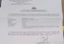 3 Tahun Mencari Keadilan, Polres Madina Sektor Polsek Saibu Tertidur  Teropongistana.com Sumatra Utara - Lesmana H meminta keadilan kepada Polri seorang wartawan media online meminta keadilan kepada bapak kapolri, bapak Kapolda Sumatra Utara supaya menindak tegas para pelaku penganiayaan wartawan pada tahun 2022 yang diduga dilakukan oleh Boss Tambang Ilegal (PETI) di lokasi tambang Desa Tangga Bosi Bukit Siayo, Kabupaten Mandailing Natal Sumatra Utara, 8 Maret 2025. Dikatakan Korban Lesmana Helawa, Kapolres madina sektor Polsek Siabu tidur dalam menangani penganiayaan Waratawan 2022 diduga oleh bos tambang ilegal. "Kapolres mandina sektro Polsek Siabu tidur dalam menangani pelaku penganiayaan wartawan yang sudah 3 tahun terjadi sampai sampai sekarang 2025 pelaku bebas berkeliaran, sampai berita dinaikan Polres madina sektor polsek siabu tidak bisa menangkap pelaku bahkan pelakunya sering bermain tik-tok dengan tumpukan uang hasil tambang ilegal, nomor Hp pelaku aktif bahkan sering mengancam korban. Dikatakan Lesmana saya menduga kuat mulai dari Kepala desa muara batang gadis dan dinas terkait ikut serta melindungi pelaku karena menerima setoran dari pelaku. Sehingga mereka ikut melindungi pelaku penganiayaan. Harapan korban supaya segera di tangkap dan oknum yang terlibat segera di copot dari jabatanya. Awal kejadian para pelaku penganiaya bertanya, “mana wartawan” lalu korban menjawab, apa bang tanpa basa basi pelaku dan kawan-kawannya memukuli korban sehingga bagian belakang kepala korban luka robek. Setelah kejadian tersebut korban melaporkan kejadian ini ke polsek siabu dengan nomor laporan STPL32/X/2022. Namun hingga saat ini pada tahun 2025 tidak ada tindakan tegas dari polsek siabu polres madina menangkap para pelaku bahkan para pelaku berkeliaran dilokasi tambang emas dan tambang masih beroperasi hingga sampai saat ini.  Saat korban menkonfirmasi kembali via watsapp ke polsek saibu, resrkim polek saibu Bribka Zulham menyarankan kepada korban untuk melimpahkan kasusnya ke polres madina karena polsek saibu sudah tidak bisa menangkap pelaku, selama 3 tahun pelaku masih menghirup udara segar polsek saibu tak berdaya dibuatnya. "Oke bang, terimakasih infonya Pesan saya bang kalo masalah abang ini jangan dikit-dikit diviralkan karena dia lagi mantau kegiatan abang terkait pemberitaan, smakin abang viralkan nanti semakin sembunyi dia kalo bisa saran saya terkait perkara abang limpahkan ke polres sekalian hantam pertambangannya, ungkap Bribka Zulham sh . Masih dikatakan Bribka Zulham sh, jika abang mau kerja sama, saya kasi solusinya.