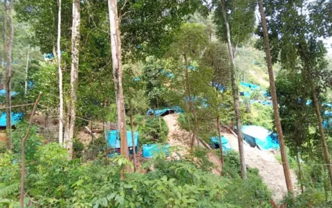 Teropongistana.com Jakarta - Komunitas Gerakan Ekonomi Kreatif (GERAK 08) Mohamad Rohim menyoroti kembali kasus penganiayaan terhadap wartawan di area tambang emas ilegal yang di duga dilakukan oleh bos tambang emas ilegal terjadi kepada korban yang bernama Lesman Halawa. Kejadian tersebut dilakukan di Desa Tangga Bosi Bukit Siayo, Kabupaten Mandarling Sumatera Utara tahun 2022, Jakarta 21 Maret 2025. Dikatakan Mohamad Rohim, Kami mendengar audah 3 tahun berlalu kasus ini namun pelaku masih bebas berkeliaran di area tambang bahkan sering meneror korban sampai saat ini, Catatan buat kami bahwa penegakan hukum di polda sumatra utara mengalami kemunduran sangat menyedihkan. " Jika pelaku penganiayaan dan bos-bos tambang ini masih berkeliaran kita liat ada yang janggal tidak mungkin aph tidak tau apa lagi menghasilkan miliaran rupiah setiap kali pencairan. Kami minta polda sumatra serius menangani kasus tambang ilegal tersebut sebagaimana arahan pak preaiden Prabowo tidak ada lagi kebocoran-kebocoran yang dapat merugikan negara indonesia. Jika kasus tambang ilegal ini tidak tuntas kami menilai kapolda sumatra utara layak di copot selain itu saya berharap presiden Prabowo segera tertibkan tambang emas ilegal seluruh indonesia yang ilegal agar bisa menjadi pendapatan negara. Berapa triliunan yang hilang akibat tambang emas ilegal tersebut.