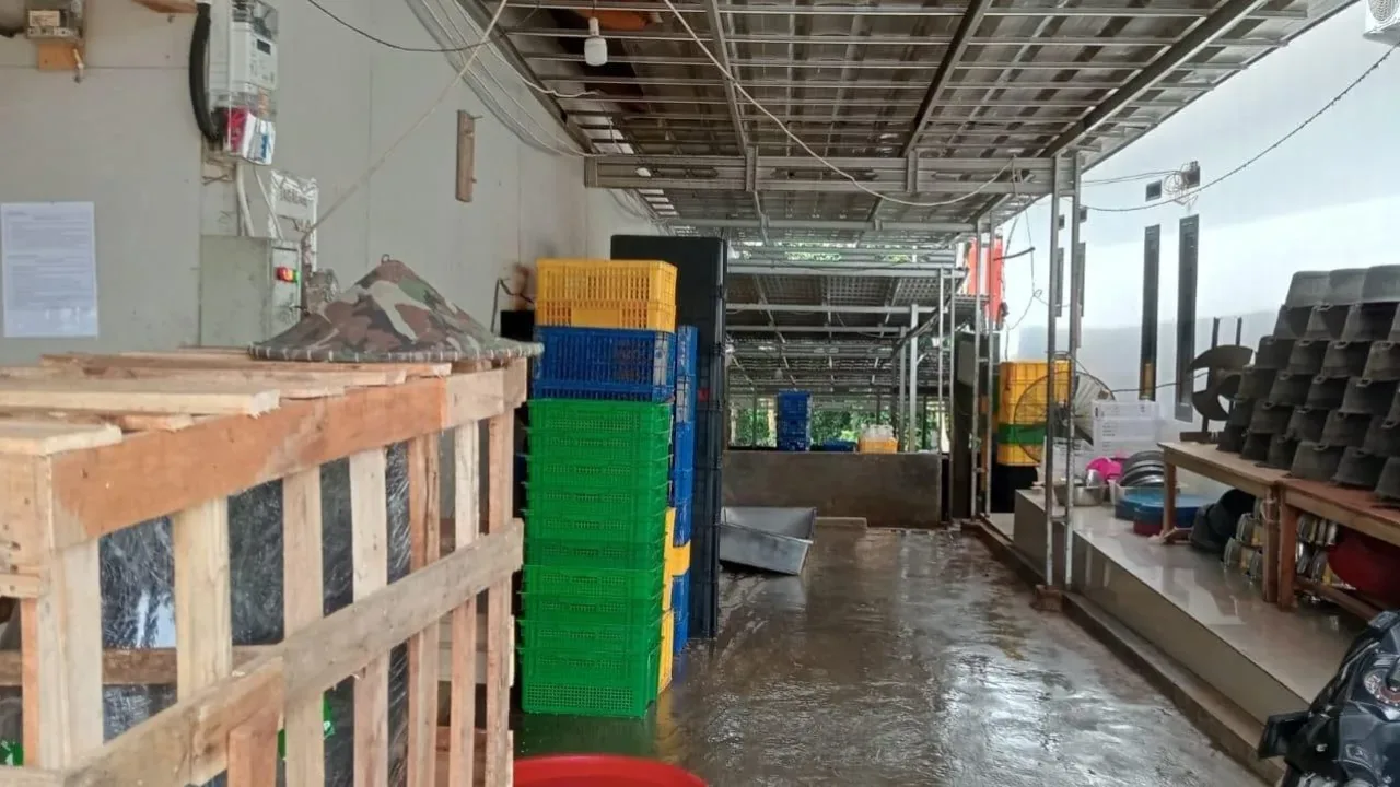 Pabrik pengolahan daging bakso ayam