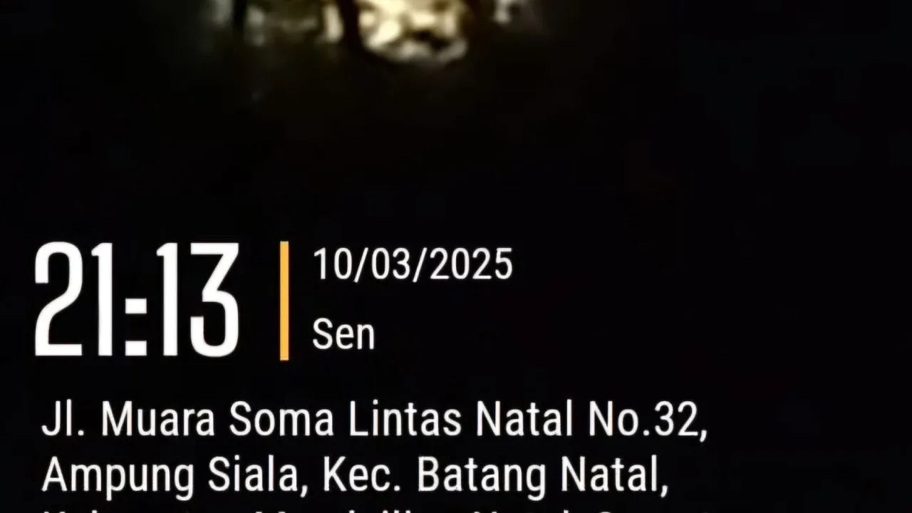 Makin Arogan..!!! Bos Tambang Peti Batang Natal Bayar Pereman untuk Bekap di Lokasi Tambang Teropongistana.com Mandailing Natal Beberapa Bos pelaku tambang (PETI) ilegal beraksi kembali di wilayah Hukum polres Madina Sumut Masih Beroperasi dengan Aman tanpa ada kendala dalam penindakan pengawasan dari pihak APH kepolisian Maupun dari kapolsek Setempat Serta pihak kapolres Mandailing Natal, 10 maret 2025. Besar dugaan Bahwa hal ini telah terjadi Perbuatan Main Mata dengan "Bos Bos Besar Tambang yang Sangat Berani Melakukan Penambangan di muka umum di Beberapa Wilayah yaitu kecamatan Batang Natal,kecamatan Lingga bayu, ranto baek dan kecamatan MBG,kec.siabu yang masih Masih beroperasi hingga saat sekarang, Pada hari Senin Sekitaran jam 9:30 malam Tim Media dan (LSM)Lembaga swadaya Masyarakat Melakukan investigasi Liputan di lapangan Desa jambur baru kecamatan Batang Natal telah Menemukan terkait adanya beberapa alat berat excavator (Beco) yang Melakukan Penambangan PETI ilegal di pinggiran Das sungai Batang Natal yang telah Mengakibatkan dampak pengerusakan lingkungan Alam, pencemaran terhadap Air sungai Batang Natal dan pengerusakan pasilitas umum lainya Bahwa Setelah Peliputan awak media dan LSM Selesai ada dua orang Pereman Mendatangi Tim Media dan LSM dengan cara menjegat Langsung di Depan Mobil dengan cara arogan terhadap awak Media dan juga ia Mengaku bahwa alat berat yang menambang itu adalah milik nya dengan nada suara yang keras kepada Tim Selain itu Pereman juga membentak awak media sehingga tim merasa ketakutan atas perbuatan dua Pereman tersebut Setelah itu Tim liputan Media dan LSM Langsung Mendatangi kantor Polsek Batang Natal untuk Melaporkan kejadian atas Perbuatan Pereman yang dengan sengaja menjegat dan menghalang halangi tugas Pers dalam peliputan di Lapangan Didalam Melakukan tugas kami sebagai jurnalis dan kami merasa di halang halangi oleh Pereman dalam menjalankan bertugas "ucap S, Maka akibat dari perbuatan yang Pereman lakukan kepda awak media dan LSM telah melanggar undang undang bahwa dua orang Pereman telah melakukan perbuatan yang melawan hukum. (☆)