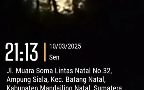Makin Arogan..!!! Bos Tambang Peti Batang Natal Bayar Pereman untuk Bekap di Lokasi Tambang Teropongistana.com Mandailing Natal Beberapa Bos pelaku tambang (PETI) ilegal beraksi kembali di wilayah Hukum polres Madina Sumut Masih Beroperasi dengan Aman tanpa ada kendala dalam penindakan pengawasan dari pihak APH kepolisian Maupun dari kapolsek Setempat Serta pihak kapolres Mandailing Natal, 10 maret 2025. Besar dugaan Bahwa hal ini telah terjadi Perbuatan Main Mata dengan "Bos Bos Besar Tambang yang Sangat Berani Melakukan Penambangan di muka umum di Beberapa Wilayah yaitu kecamatan Batang Natal,kecamatan Lingga bayu, ranto baek dan kecamatan MBG,kec.siabu yang masih Masih beroperasi hingga saat sekarang, Pada hari Senin Sekitaran jam 9:30 malam Tim Media dan (LSM)Lembaga swadaya Masyarakat Melakukan investigasi Liputan di lapangan Desa jambur baru kecamatan Batang Natal telah Menemukan terkait adanya beberapa alat berat excavator (Beco) yang Melakukan Penambangan PETI ilegal di pinggiran Das sungai Batang Natal yang telah Mengakibatkan dampak pengerusakan lingkungan Alam, pencemaran terhadap Air sungai Batang Natal dan pengerusakan pasilitas umum lainya Bahwa Setelah Peliputan awak media dan LSM Selesai ada dua orang Pereman Mendatangi Tim Media dan LSM dengan cara menjegat Langsung di Depan Mobil dengan cara arogan terhadap awak Media dan juga ia Mengaku bahwa alat berat yang menambang itu adalah milik nya dengan nada suara yang keras kepada Tim Selain itu Pereman juga membentak awak media sehingga tim merasa ketakutan atas perbuatan dua Pereman tersebut Setelah itu Tim liputan Media dan LSM Langsung Mendatangi kantor Polsek Batang Natal untuk Melaporkan kejadian atas Perbuatan Pereman yang dengan sengaja menjegat dan menghalang halangi tugas Pers dalam peliputan di Lapangan Didalam Melakukan tugas kami sebagai jurnalis dan kami merasa di halang halangi oleh Pereman dalam menjalankan bertugas "ucap S, Maka akibat dari perbuatan yang Pereman lakukan kepda awak media dan LSM telah melanggar undang undang bahwa dua orang Pereman telah melakukan perbuatan yang melawan hukum. (☆)