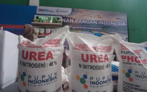 Soal Kebijakan Penyederhanaan Sistem Pupuk, Legislator: Mentan Tak Paham Visi Presiden Teropongistana.com Jakarta - Anggota Komisi Iv Dpr Firman Soebagyo Mengkritik Kebijakan Pemerintah Dalam Menyederhanakan Sistem Distribusi Pupuk Subsidi. Sebab, Ia Menegaskan, Kebijakan Ini Justru Dapat Menimbulkan Persoalan Baru Di Lapangan. Firman Menyoroti Keputusan Pemerintah Yang Menghapus Distributor Pupuk Dan Menyerahkan Distribusi Langsung Ke Gabungan Kelompok Tani (Gapoktan). Menurutnya, Langkah Ini Tidak Sesuai Dengan Kebijakan Presiden Prabowo Subianto, Yang Tidak Pernah Menginstruksikan Pembubaran Distributor Pupuk. “Gapoktan Ini Bukan Badan Usaha Yang Bisa Diaudit. Bukan Badan Usaha Yang Auditable, Kemudian Tidak Memiliki Permodalan Dan Gudang Yang Memadai. Apakah Mungkin Pupuk Indonesia Harus Door To Door Kepada Gapoktan Yang Jumlahnya Ratusan Ribu, Yang Tempatnya Sulit Dijangkau Oleh Kendaraan Roda Empat?” Ujar Firman Soebagyo, Rabu (12/3/2025). Ia Juga Menilai. Pemerintah Salah Dalam Memahami Konsep Pupuk Subsidi. Firman Menegaskan Bahwa Pupuk Subsidi Seharusnya Ditujukan Untuk Meningkatkan Produksi Pertanian, Bukan Diperlakukan Seperti Program Bantuan Sosial Yang Diberikan Langsung Kepada Individu. “Sedangkan Pupuk Subsidi Tujuannya Adalah Meningkatkan Produksi, Maka Di Dalam Pembuatan Kebijakan Ini Harus Menggunakan Terminologi Geospasial, Yaitu Luasan Lahan,” Ungkap Politikus Golkar Ini. Menurut Firman, Kebijakan Ini Berisiko Memperburuk Masalah Distribusi Pupuk. Ia Menekankan Bahwa Gapoktan Tidak Memiliki Transportasi Untuk Pengambilan Pupuk Dari Pupuk Indonesia Holding Company (Pihc), Serta Kekurangan Sumber Daya Manusia (Sdm) Yang Memadai. Selain Itu, Jika Terjadi Kegagalan Pembayaran, Ia Khawatir Pemerintah Akan Menerapkan Kebijakan “Pemutihan,” Yang Menurutnya Tidak Pernah Terjadi Di Negara Lain. “Yang Saya Khawatir, Karena Pemerintah Ini Selalu Menerapkan Sistem Bilamana Ada Kegagalan Bayar Gapoktan Dan Kemudian Koperasi, Pemerintah Selalu Mengambil Jalan Pintas ‘Diputihkan’. Ini Tidak Pernah Terjadi Di Bagian Dunia Manapun, Ini Persoalan Serius,” Tegas Anggota Baleg Dpr Ini. Firman Yang Juga Legislator Dapil Jateng Iii Ini Menyebut, Kebijakan Ini Bertentangan Dengan Visi Presiden. Ia Mengkritik Menteri Pertanian Yang Dinilai Tidak Memahami Arahan Presiden Prabowo Terkait Distribusi Pupuk Bersubsidi. Di Sisi Lain, Menteri Pertanian (Mentan) Amran Sebelumnya Menyatakan Bahwa Kebijakan Ini Bertujuan Untuk Mempercepat Distribusi Pupuk Subsidi Dengan Memangkas Birokrasi Yang Panjang. Ia Mengklaim Bahwa Langkah Strategis Telah Diambil, Termasuk Peningkatan Kuota Pupuk Subsidi Menjadi 9,55 Juta Ton Pada 2025 Dan Kemudahan Penebusan Pupuk Bagi Petani Yang Terdaftar Dalam E-Rdkk Menggunakan Ktp. Namun, Kritik Dari Dpr Menunjukkan Bahwa Kebijakan Ini Masih Menimbulkan Banyak Pertanyaan Dan Kekhawatiran Di Kalangan Masyarakat Dan Distributor, Terutama Terkait Efektivitas Dan Implementasi Di Lapangan. 
