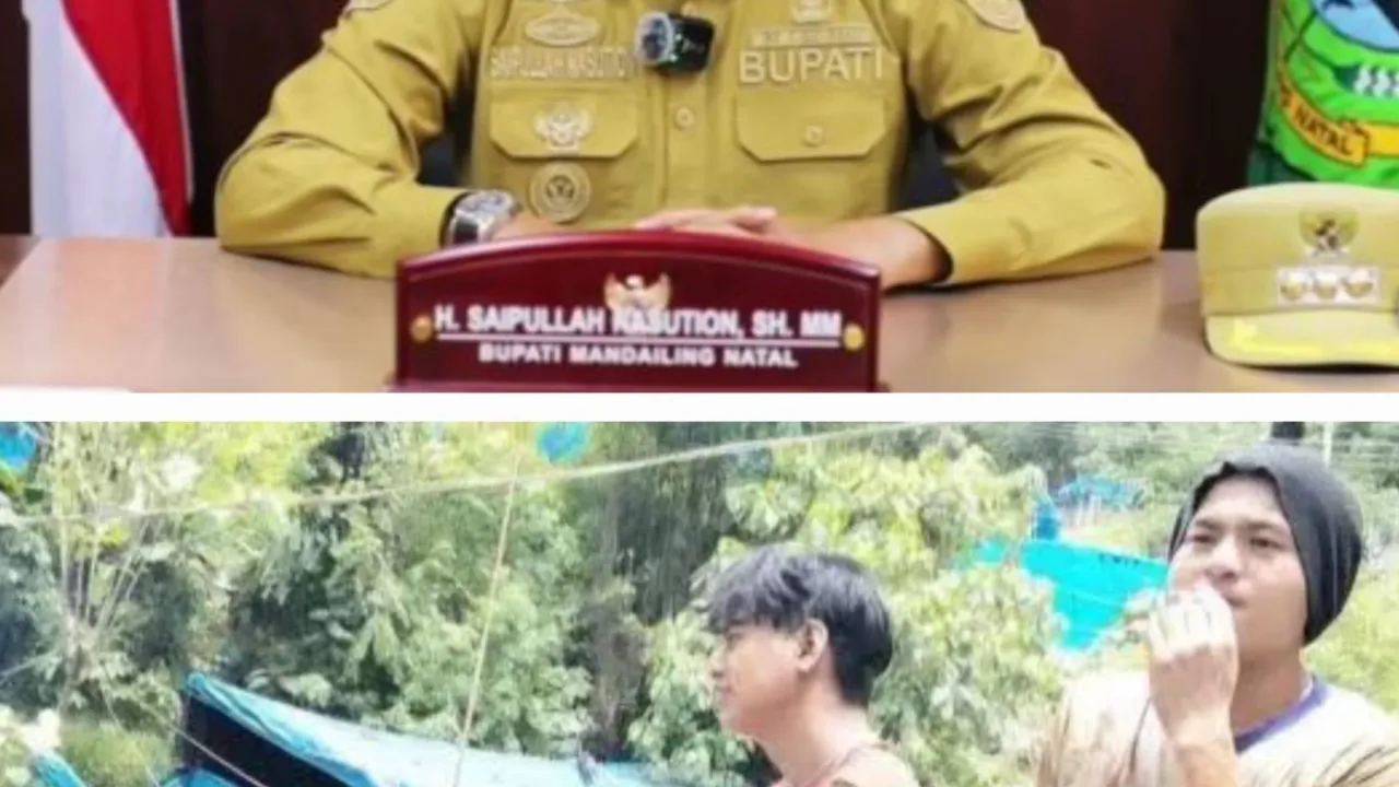 Bupati Mandailing Natal (Madina) H. Saipullah Nasution, SH MM mengeluarkan surat perihal perintah penghentian Tambang Emas Tanpa Izin (PETI) pada 12 Kecamatan di Kabupaten Madina. Surat tersebut bernomor: 660/0698/DLH/2025 tanggal 17 April 2025. Surat itu ditandatangani oleh Bupati Madina Saipullah Nasution. Adapun 12 camat yang mendapat surat penghentian PETI itu, antara lain; Camat Hutabargot, Nagajuang, Kotanopan, Muara Sipongi, Pakantan, Ulu Pungkut, Batang Natal, Lingga Bayu, Ranto Baek, Batahan, Natal, dan Camat Muara Batang Gadis,18 April 2025. Dan banyak medapat apresiasi dari berbagai pihak terkait keberanianya, Namun berbeda dengan Lesmana Helawa korban penganiyaan yang diduga dilakukan bis tambang ilegal. Menurut Lesmana Helawa, Bupati Mandailing Natal Saipullah Nasution tidak punya nyali hanya Omon- omon saja buktinya media sudah ratusan kali ramai di media sosial dan pemeberitaan terkait kasus penganiyaan yang diduga dilakukan oleh bos tambang ilegal sampai sekarang masih beroprasi lokasi tambang ilegal tersebut yang terletak di Desa Tangga Bosi,Bukit Siayo , Kecamatan Saibu, Kabupaten Mandarling Sumatera Utara tahun 2022, Jakarta 14 Maret 2025. " Padahal kasus ini sudah pernah menggemparkan dunia maya bahkan korban sekarang sedang mencari keadilan kepada komisi III DPR RI dan Presiden Prabowo agar kasusnya segera selsai pelaku di tangkap dan tambang emas ilegal yang merugikan negara segera di tutup,ungkapnya. Pantauan wartawan kegiatan pertambangan tersebut terus beroprasi bahkan sering terjadi penganiayaan di sana bahkan kasusnya mangkrak selama 3 tahun, 12 kecamatan di perintah bupati Mandaling Natal untuk ditutup namun anehnya yang jelas-jelas sedang ramai malah dibiarkan dan kasusnya sedang ditangani oleh Polres Madina Sektor Polsek Saibu udah 3 tahun lamanya mangkrak, ungkapnya.