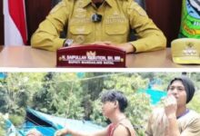 Bupati Mandailing Natal (Madina) H. Saipullah Nasution, Sh Mm Mengeluarkan Surat Perihal Perintah Penghentian Tambang Emas Tanpa Izin (Peti) Pada 12 Kecamatan Di Kabupaten Madina. Surat Tersebut Bernomor: 660/0698/Dlh/2025 Tanggal 17 April 2025. Surat Itu Ditandatangani Oleh Bupati Madina Saipullah Nasution. Adapun 12 Camat Yang Mendapat Surat Penghentian Peti Itu, Antara Lain; Camat Hutabargot, Nagajuang, Kotanopan, Muara Sipongi, Pakantan, Ulu Pungkut, Batang Natal, Lingga Bayu, Ranto Baek, Batahan, Natal, Dan Camat Muara Batang Gadis,18 April 2025. Dan Banyak Medapat Apresiasi Dari Berbagai Pihak Terkait Keberanianya, Namun Berbeda Dengan Lesmana Helawa Korban Penganiyaan Yang Diduga Dilakukan Bis Tambang Ilegal. Menurut Lesmana Helawa, Bupati Mandailing Natal Saipullah Nasution Tidak Punya Nyali Hanya Omon- Omon Saja Buktinya Media Sudah Ratusan Kali Ramai Di Media Sosial Dan Pemeberitaan Terkait Kasus Penganiyaan Yang Diduga Dilakukan Oleh Bos Tambang Ilegal Sampai Sekarang Masih Beroprasi Lokasi Tambang Ilegal Tersebut Yang Terletak Di Desa Tangga Bosi,Bukit Siayo , Kecamatan Saibu, Kabupaten Mandarling Sumatera Utara Tahun 2022, Jakarta 14 Maret 2025. &Quot; Padahal Kasus Ini Sudah Pernah Menggemparkan Dunia Maya Bahkan Korban Sekarang Sedang Mencari Keadilan Kepada Komisi Iii Dpr Ri Dan Presiden Prabowo Agar Kasusnya Segera Selsai Pelaku Di Tangkap Dan Tambang Emas Ilegal Yang Merugikan Negara Segera Di Tutup,Ungkapnya. Pantauan Wartawan Kegiatan Pertambangan Tersebut Terus Beroprasi Bahkan Sering Terjadi Penganiayaan Di Sana Bahkan Kasusnya Mangkrak Selama 3 Tahun, 12 Kecamatan Di Perintah Bupati Mandaling Natal Untuk Ditutup Namun Anehnya Yang Jelas-Jelas Sedang Ramai Malah Dibiarkan Dan Kasusnya Sedang Ditangani Oleh Polres Madina Sektor Polsek Saibu Udah 3 Tahun Lamanya Mangkrak, Ungkapnya.